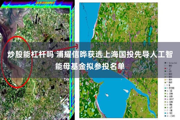 炒股能杠杆吗 浦耀信晔获选上海国投先导人工智能母基金拟参投名单