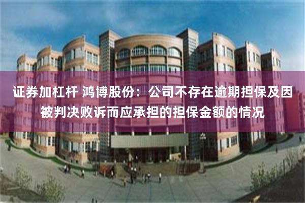证券加杠杆 鸿博股份：公司不存在逾期担保及因被判决败诉而应承担的担保金额的情况