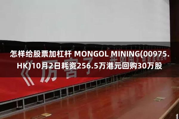 怎样给股票加杠杆 MONGOL MINING(00975.HK)10月2日耗资256.5万港元回购30万股
