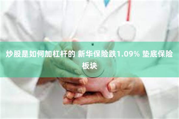 炒股是如何加杠杆的 新华保险跌1.09% 垫底保险板块