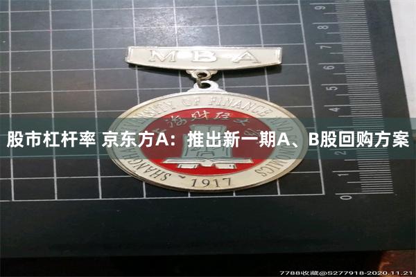 股市杠杆率 京东方A：推出新一期A、B股回购方案