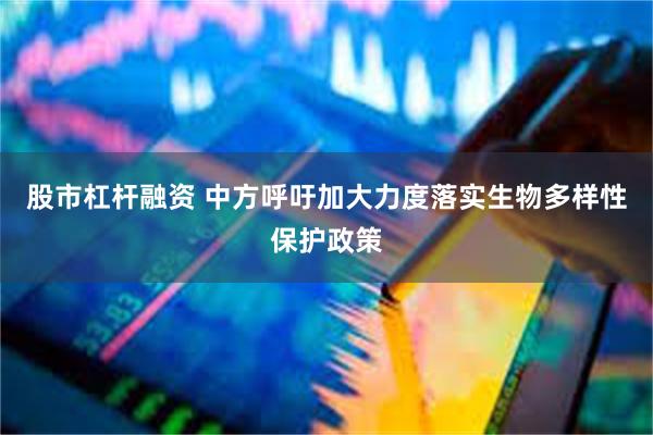股市杠杆融资 中方呼吁加大力度落实生物多样性保护政策