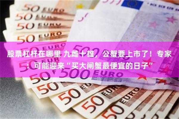 股票杠杆在哪里 九雌十雄，公蟹要上市了！专家：可能迎来“买大闸蟹最便宜的日子”