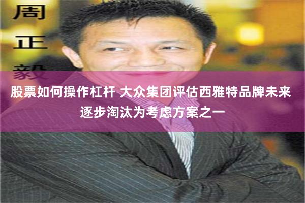 股票如何操作杠杆 大众集团评估西雅特品牌未来 逐步淘汰为考虑方案之一