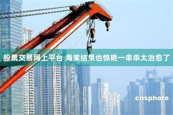 股票交易网上平台 海棠结果也惊艳一串串太治愈了